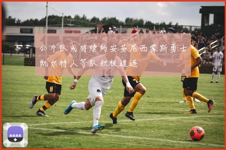 公牛队或将续约安芬尼西蒙斯勇士凯尔特人等队积极追逐