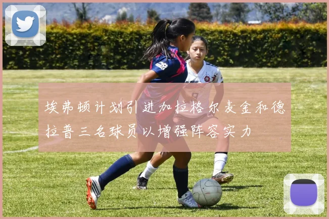 埃弗顿计划引进加拉格尔麦金和德拉普三名球员以增强阵容实力