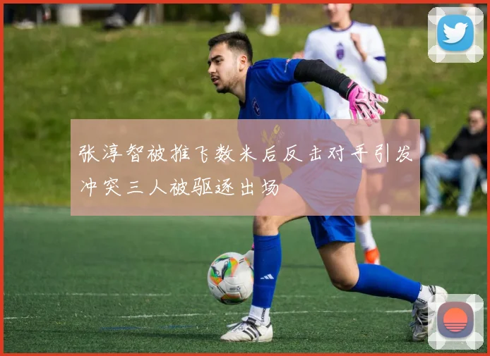张淳智被推飞数米后反击对手引发冲突三人被驱逐出场